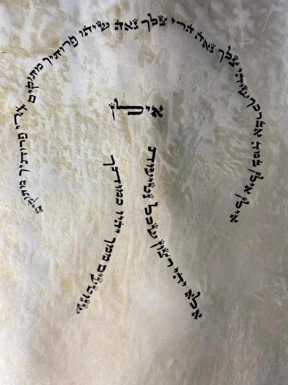 אומנות על קלף - אילן
